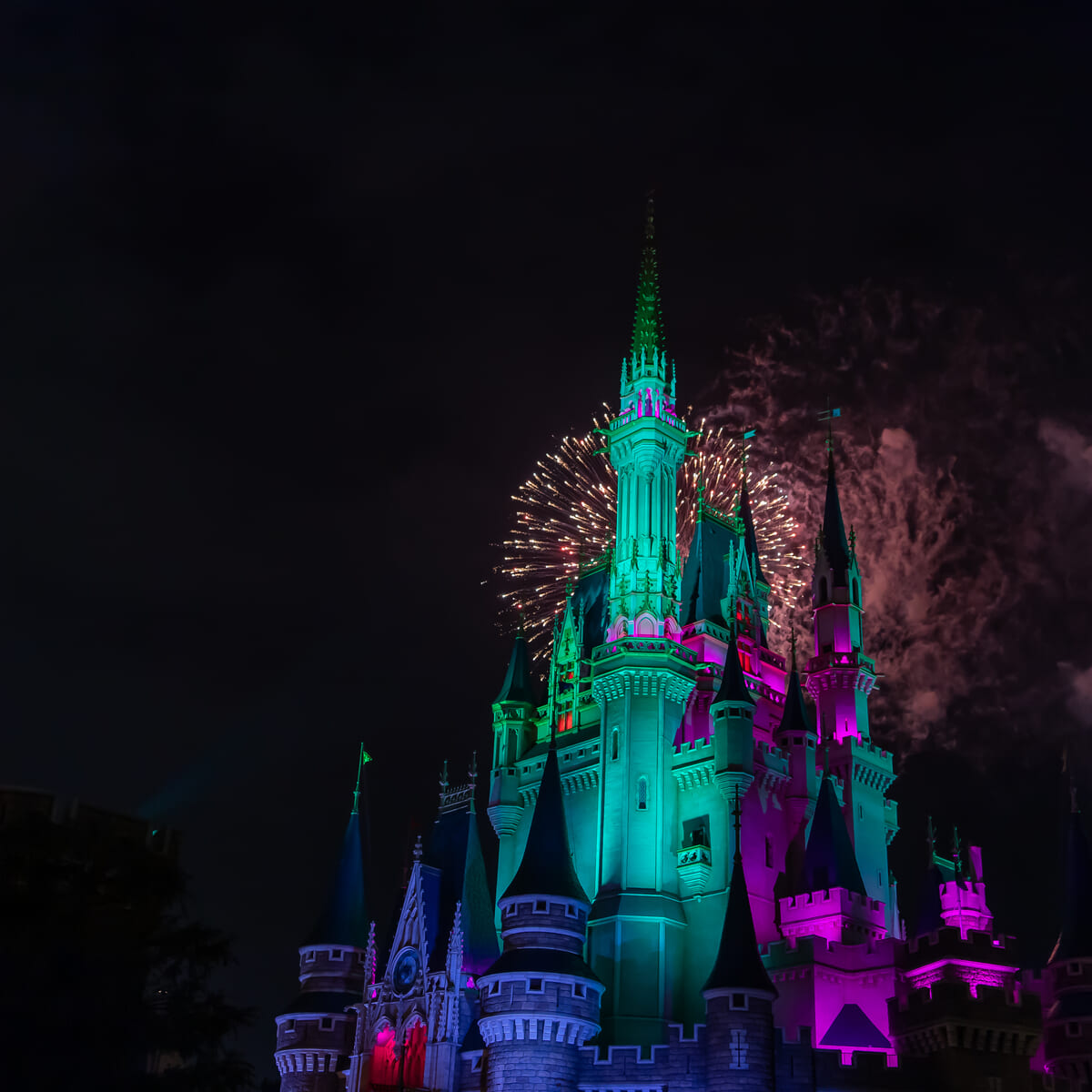 ディズニーリゾート カーテン 花火 夜空 - カーテン