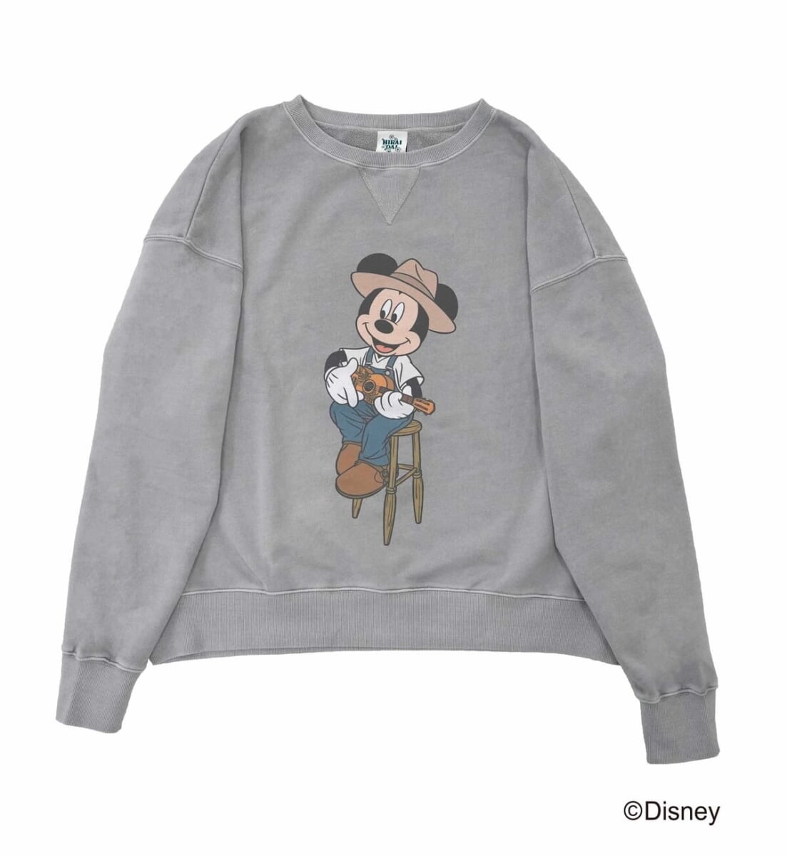 HIRAIDAIDISNEY２