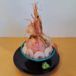 おさかな丼屋とと丸食堂『静岡頂上丼～メギス・本海老・富士山サーモン～』2
