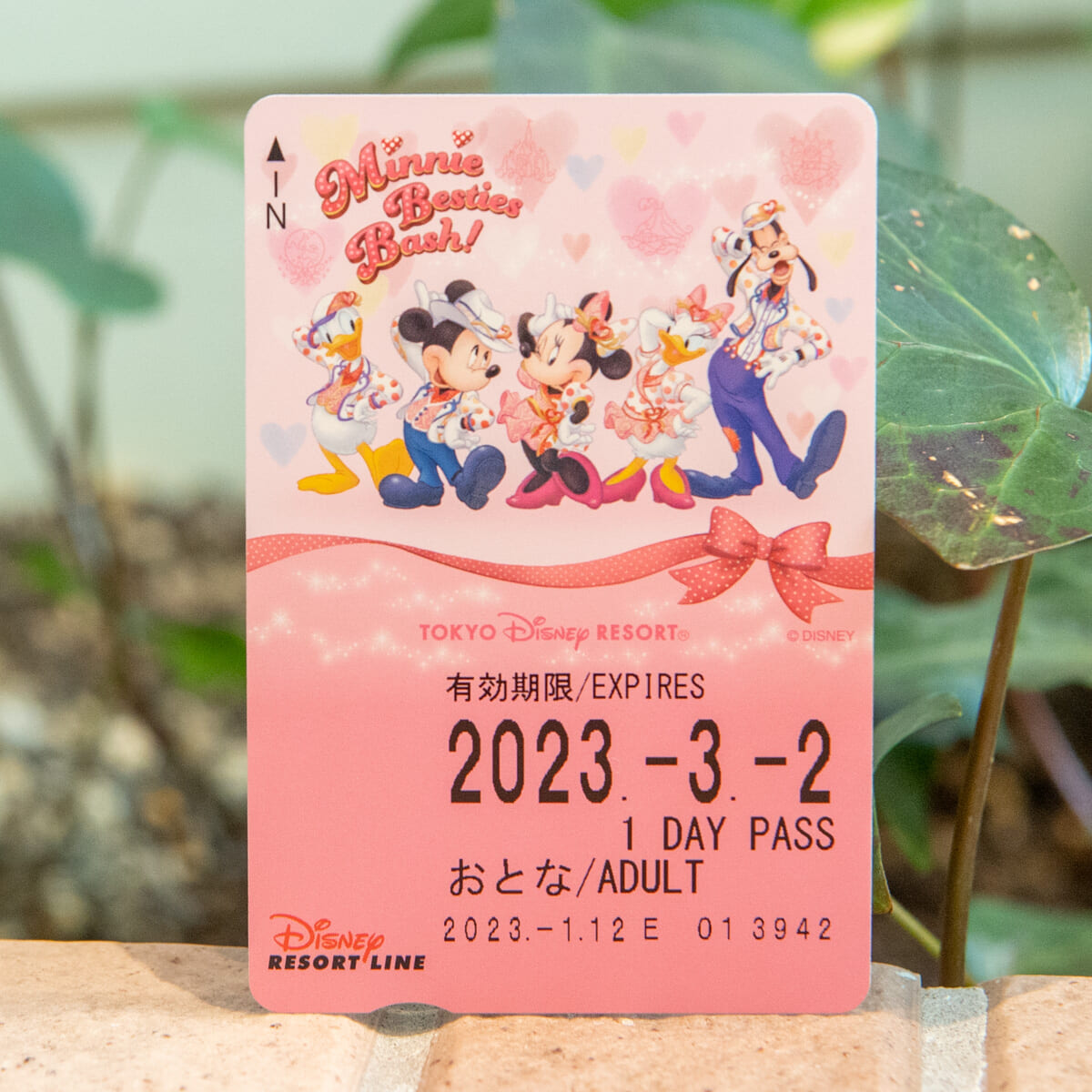 ディズニーリゾートライン“ミニー・ベスティーズ・バッシュ!”フリーきっぷ撮影