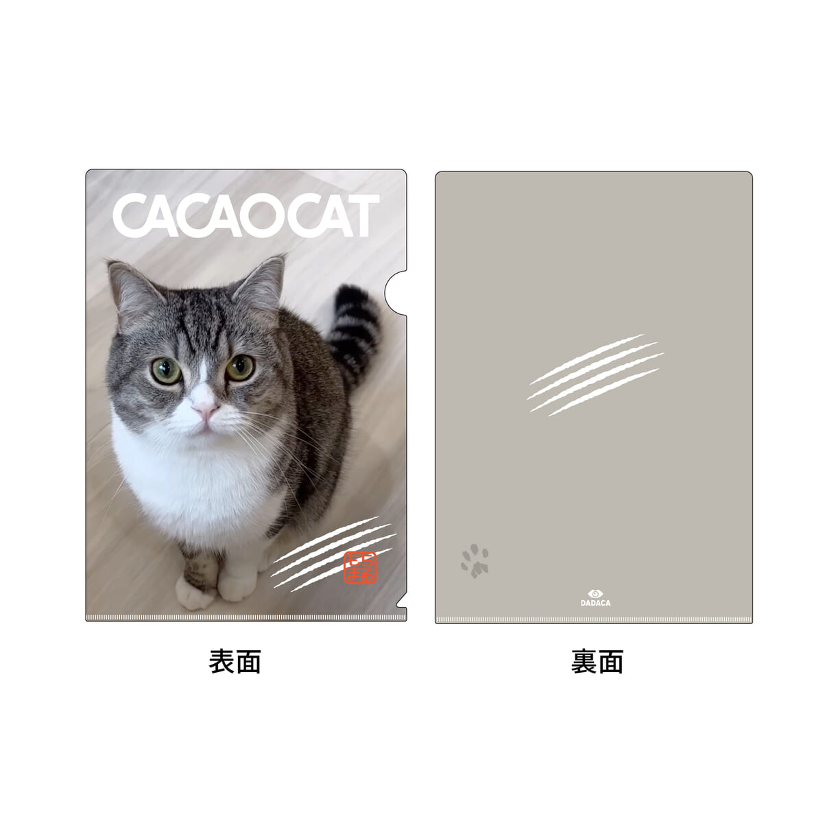 【CACAOCAT】CACAOCAT缶14個入（もちまる日記）4