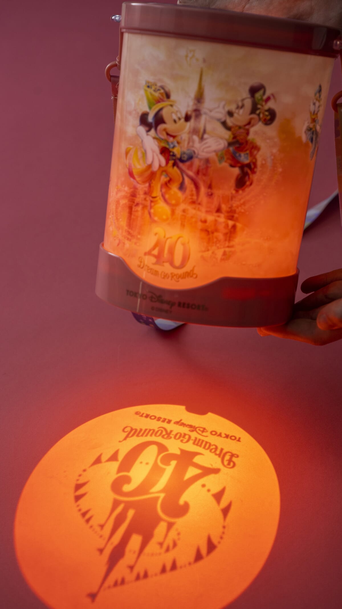 ディズニー 40周年 ドナルド ポップコーン ケース