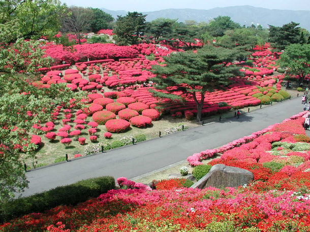 静岡県伊東市「小室山公園つつじ観賞会」