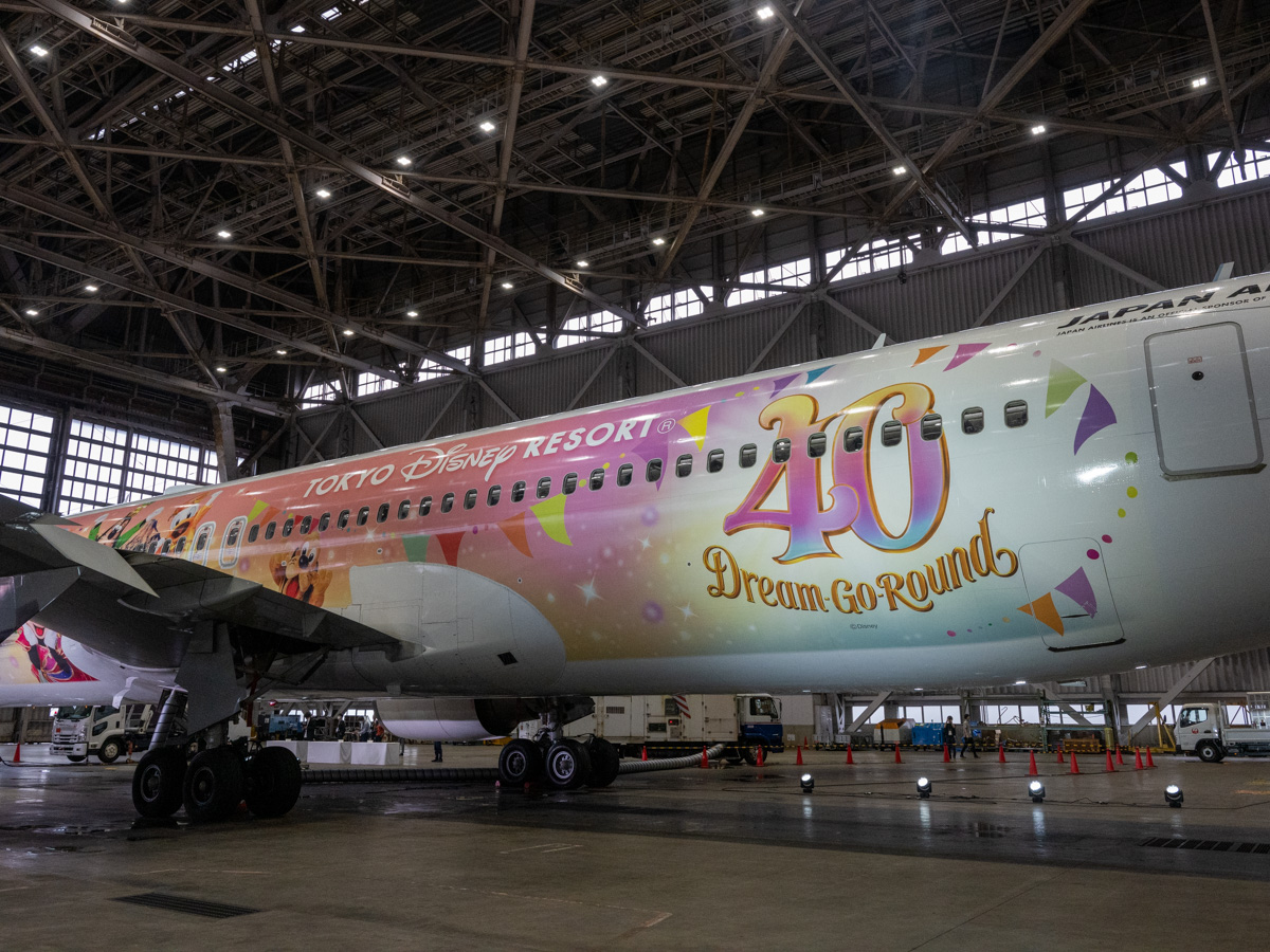 「JAL Colorful Dreams Express」機体デザイン2