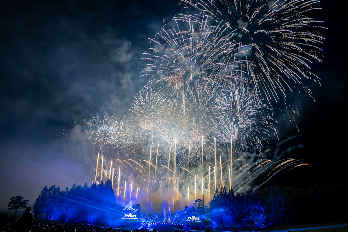 サイズ交換ＯＫ】 Disney Music Fireworks ディズニー 花火 公式グッズ