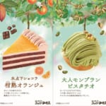 コメダ珈琲店 季節のケーキ「氷点下ショコラ 柑熟オランジュ」