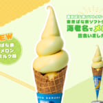 EXPASA海老名（下り）限定「東京ばな奈ソフトクリーム　ばな奈メロンミルク味」