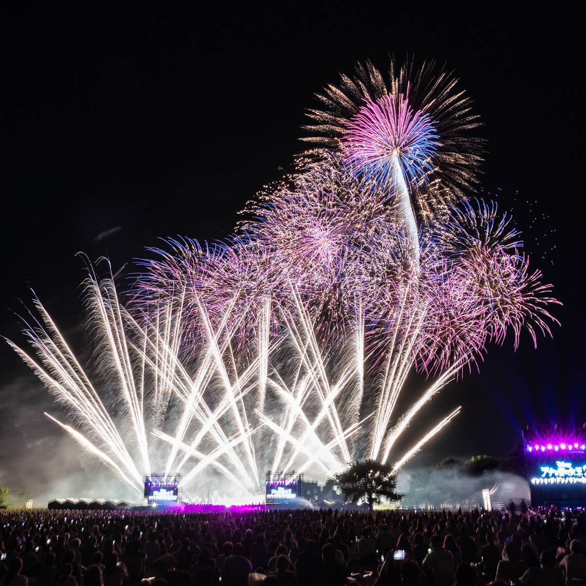 「Disney Music & Fireworks」茨城国営ひたち海浜公園 公演レポート1