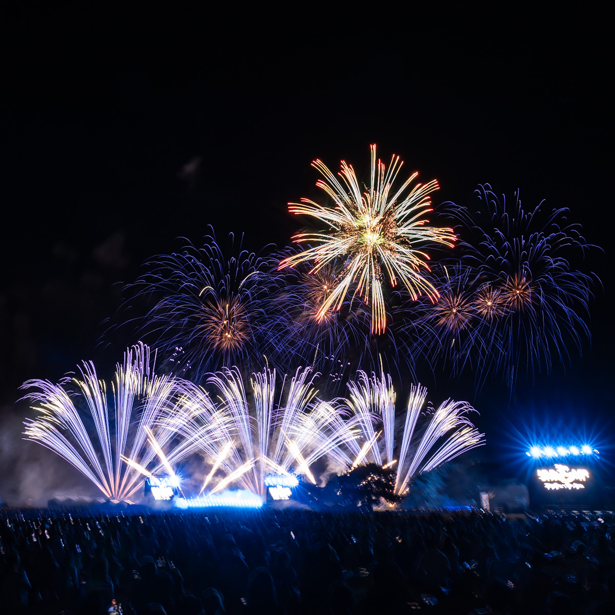 「Disney Music & Fireworks」茨城国営ひたち海浜公園 公演レポート6