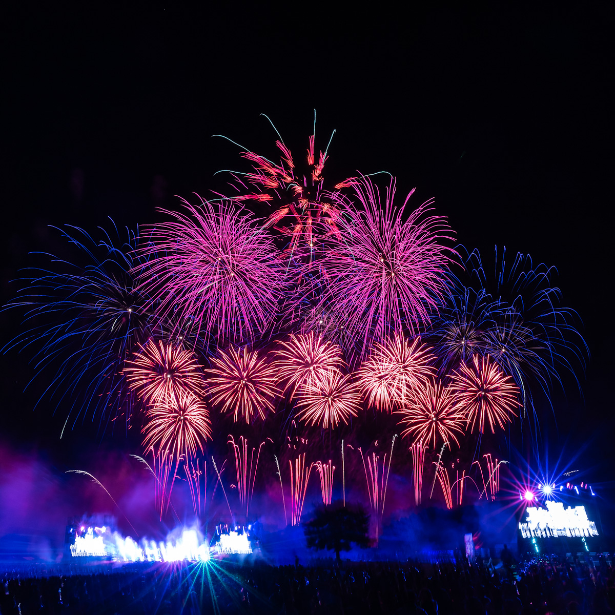 「Disney Music & Fireworks」茨城国営ひたち海浜公園 公演レポート7