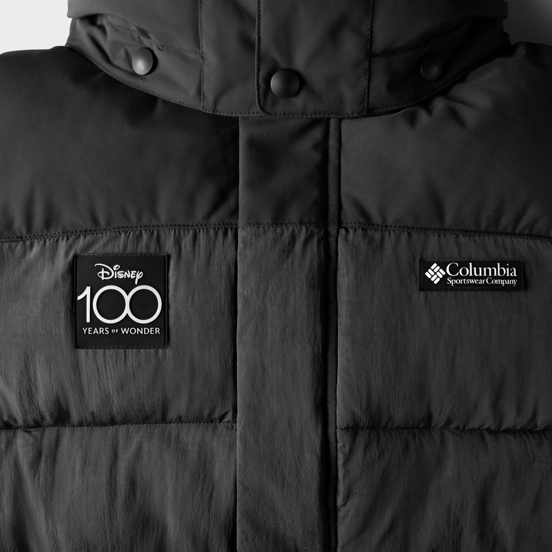 Disney 100 Snowqualmie TM Jacket／ディズニー100スノーコルミージャケット　胸部