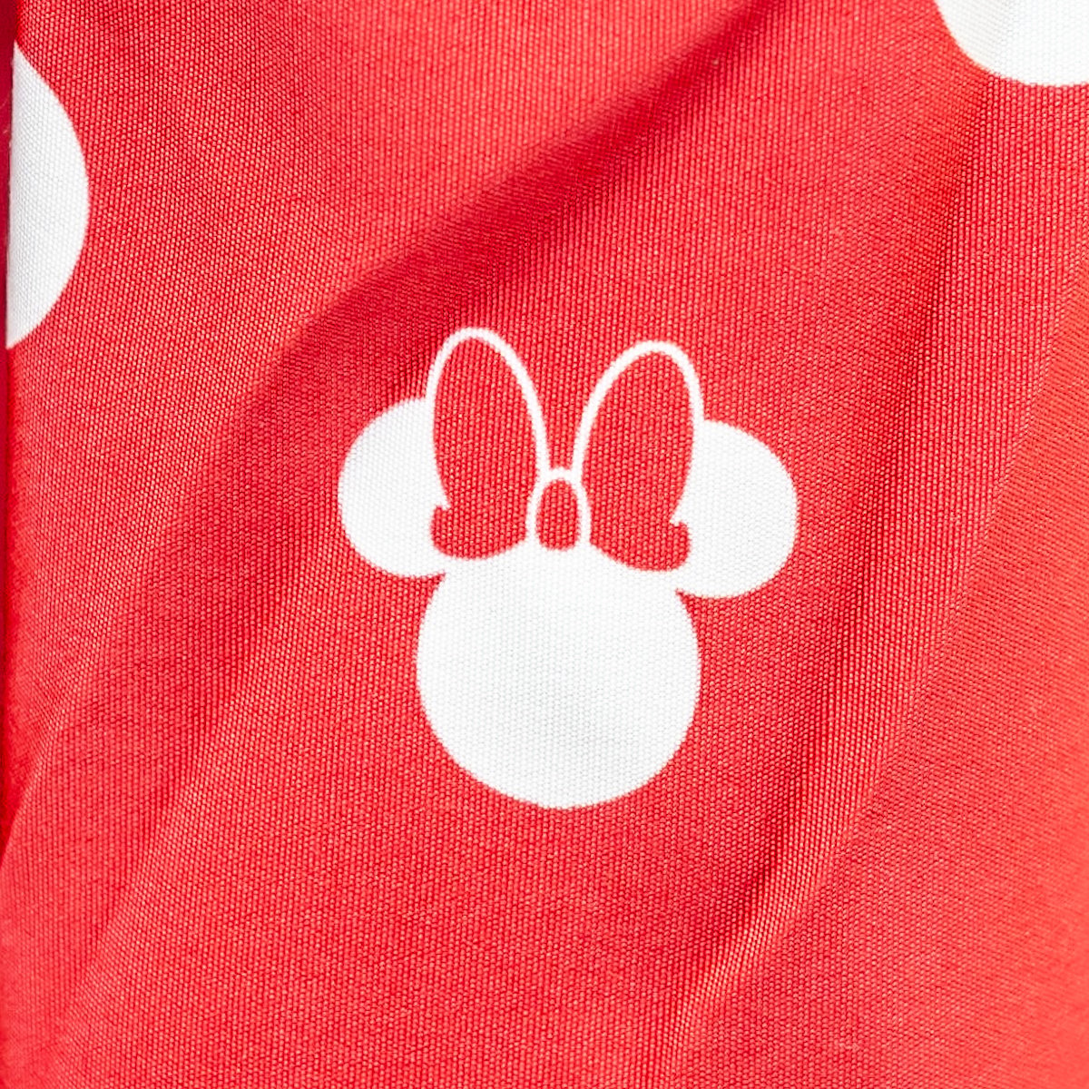airCloset(エアークローゼット)「Disney FASHION CLOSET」ミニーマウス　バウンドコーデ4