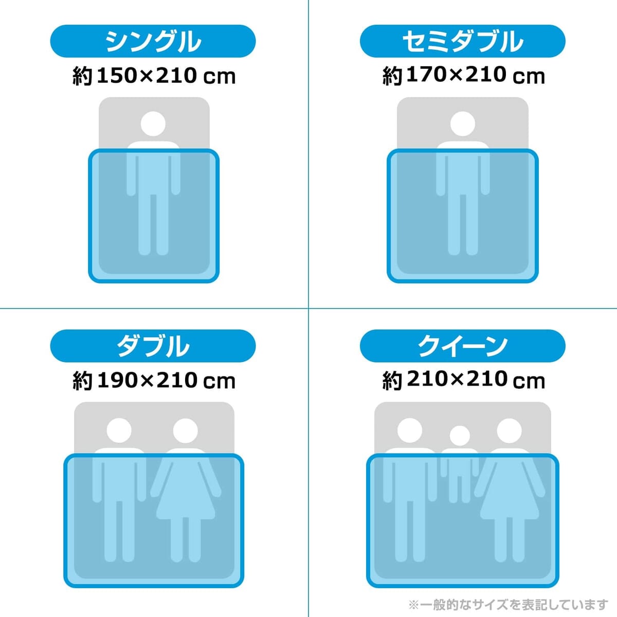 サイズ