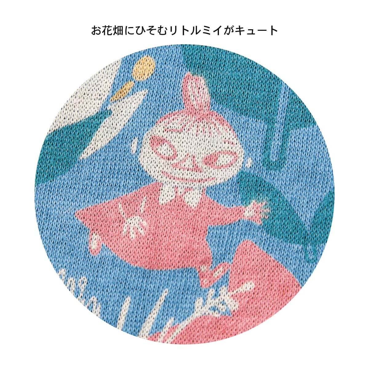 お花畑のひそむリトルミイ