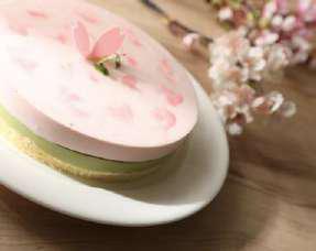 桜と抹茶のレアチーズケーキ