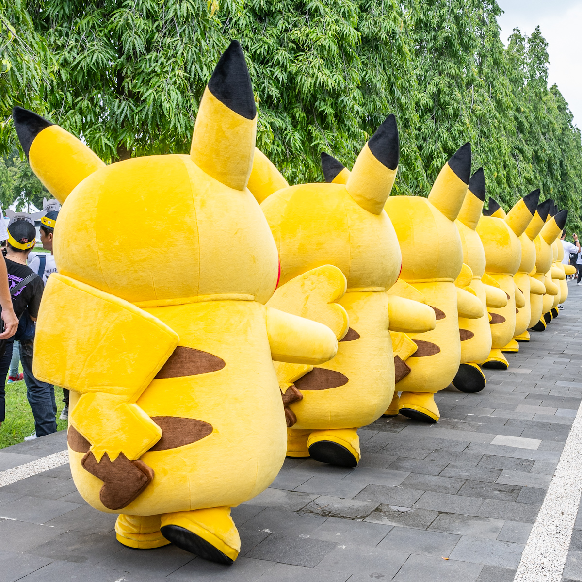 ポケモン『Pikachu’s Indonesia Journey』Pikachu Parade（ピカチュウパレード）4