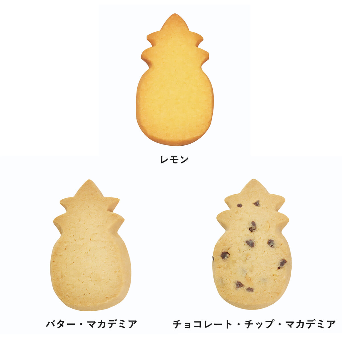 【Honolulu Cookie Company】スティッチ＆スクランプ クッキー 巾着入り04