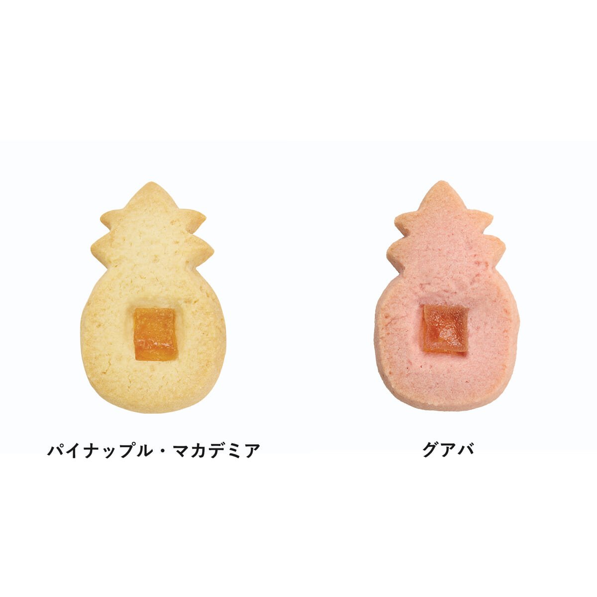 【Honolulu Cookie Company】スティッチ＆スクランプ クッキー パイナップル型ボックス入り05