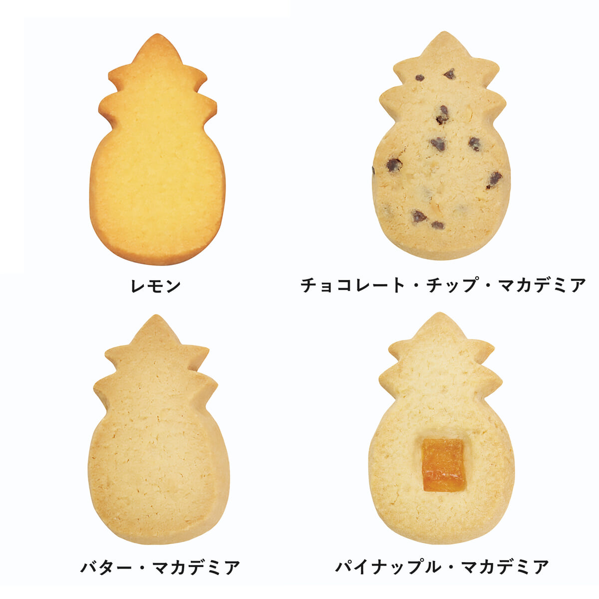【Honolulu Cookie Company】スティッチ＆スクランプ クッキー 缶入り04