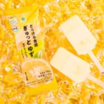 ファミリーマート「高知県産ゆず使用」フード・デザート