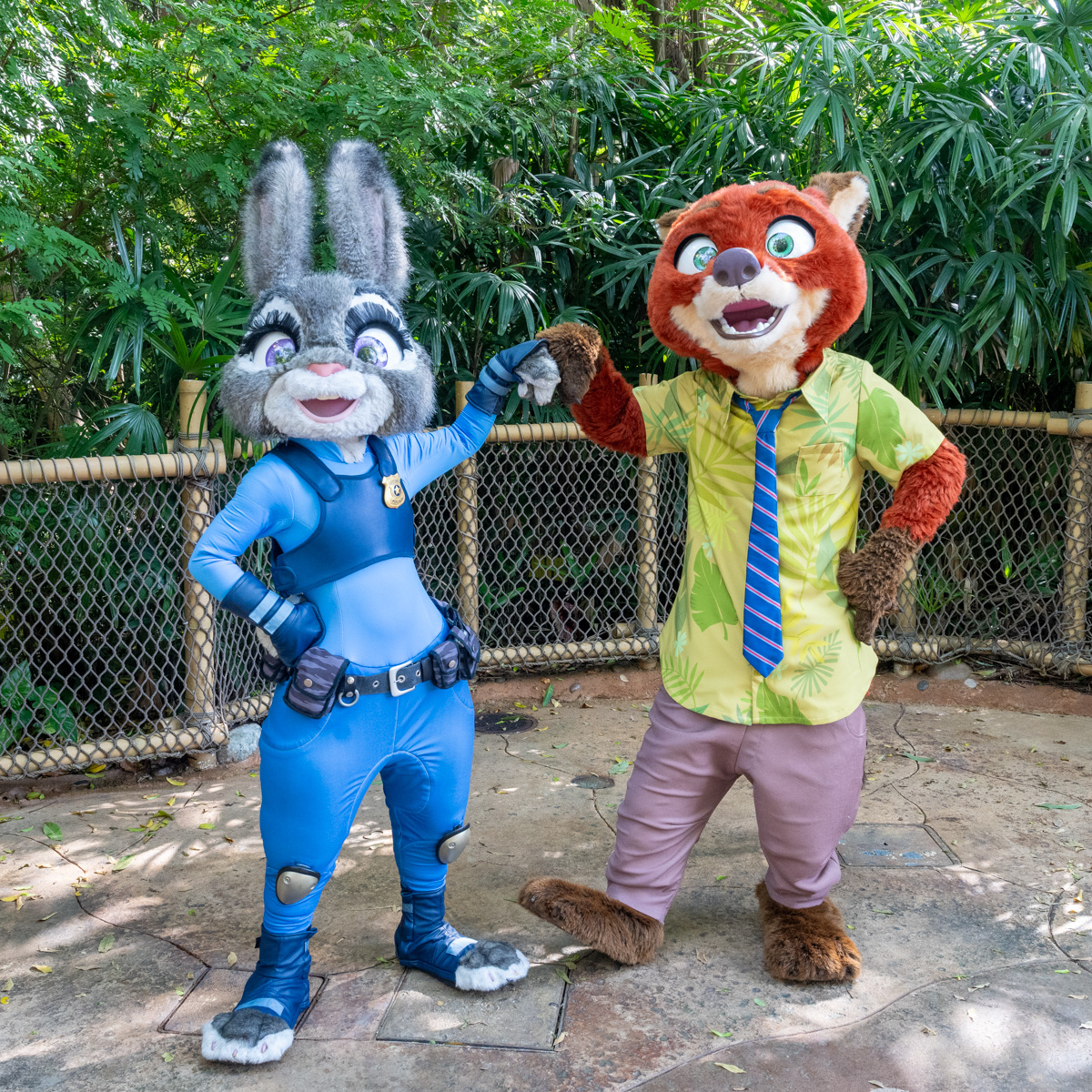 ニック＆ジュディ