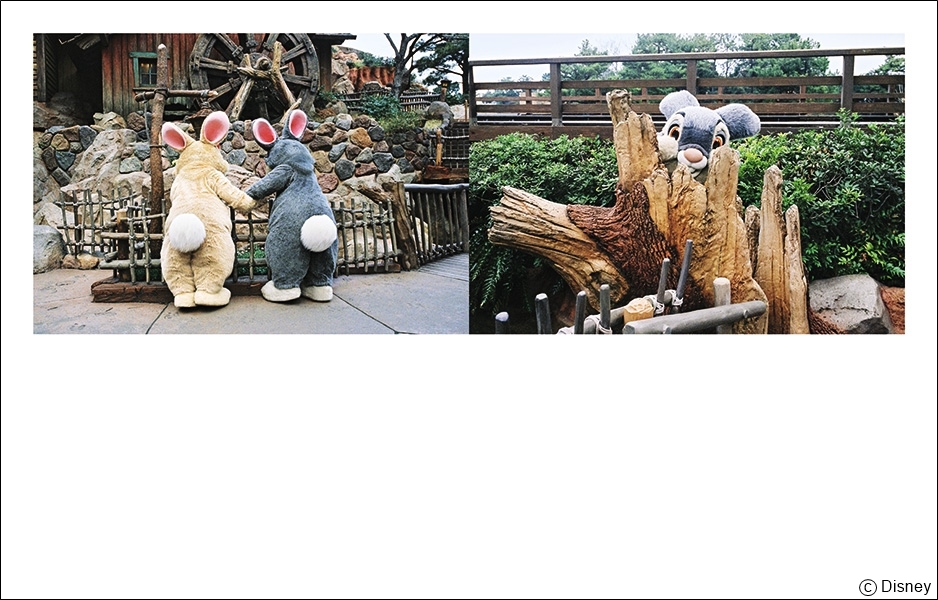 講談社『Tokyo Disney Resort（R）Photography Project Imagining the Magic Reflections of Dreams　リフレクション・オブ・ドリームス』05