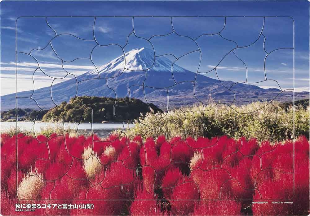 秋に染まるコキアと富士山(山梨)