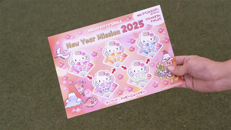 New Year Mission 2025