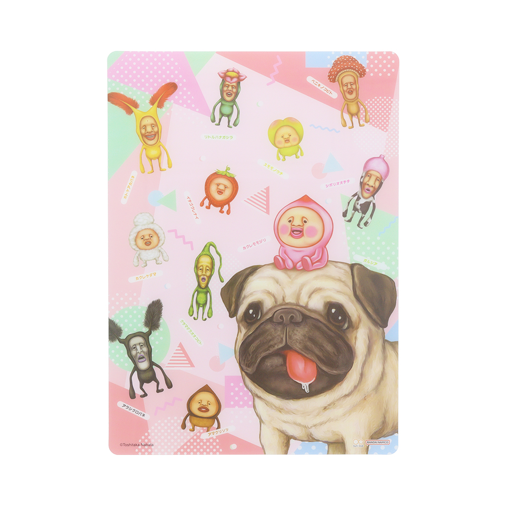 サンスター文具『こびとづかん』グッズ　下敷B-2