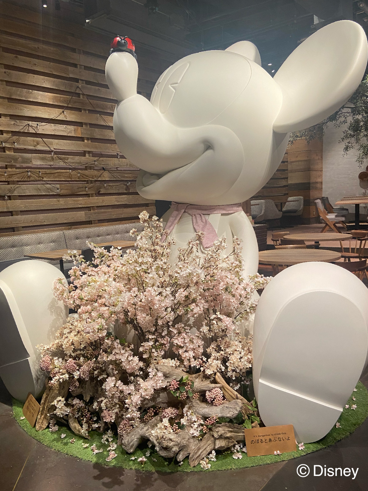 Disney HARVEST MARKETのシンボルが桜で埋め尽くされる