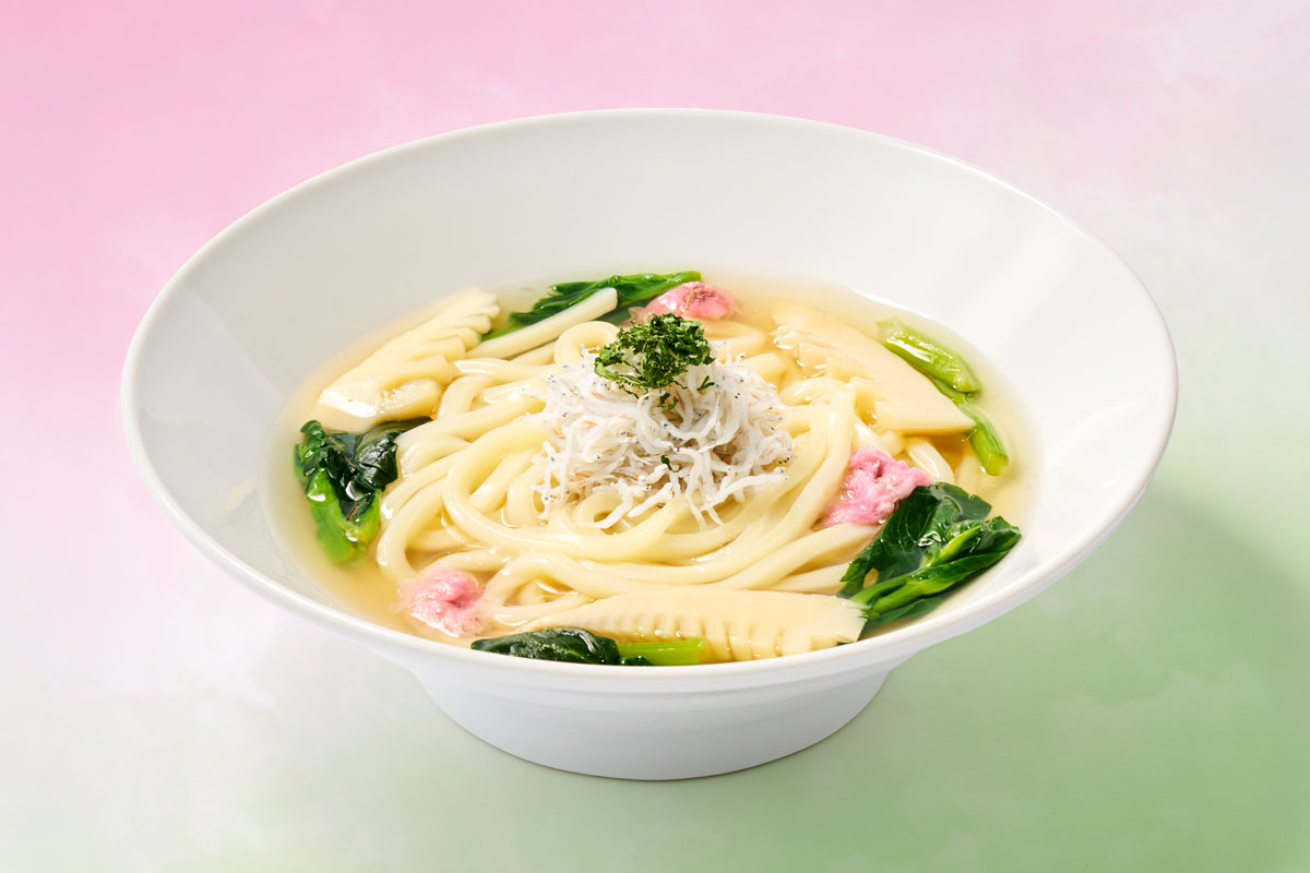 桜としらすのあんかけうどん