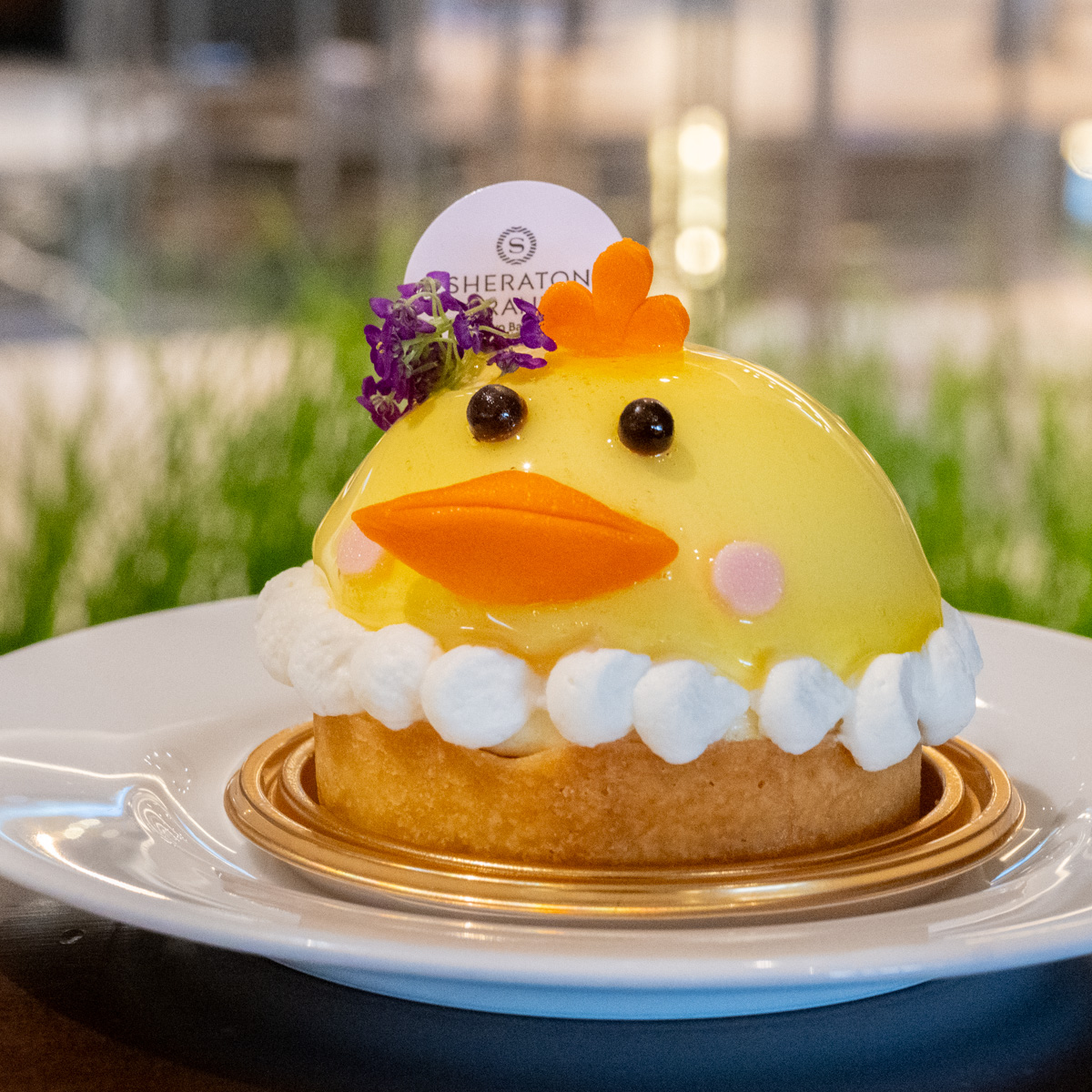 ひよこのタルト　撮影