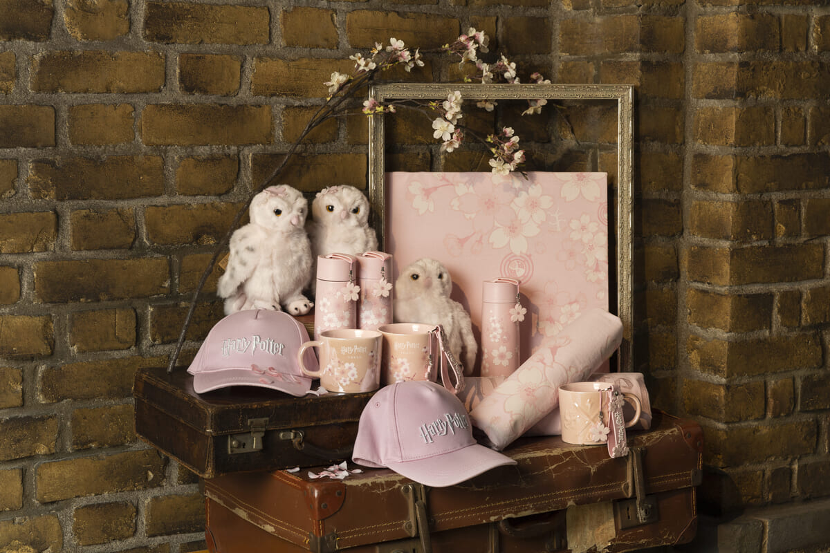 サクラ コレクション