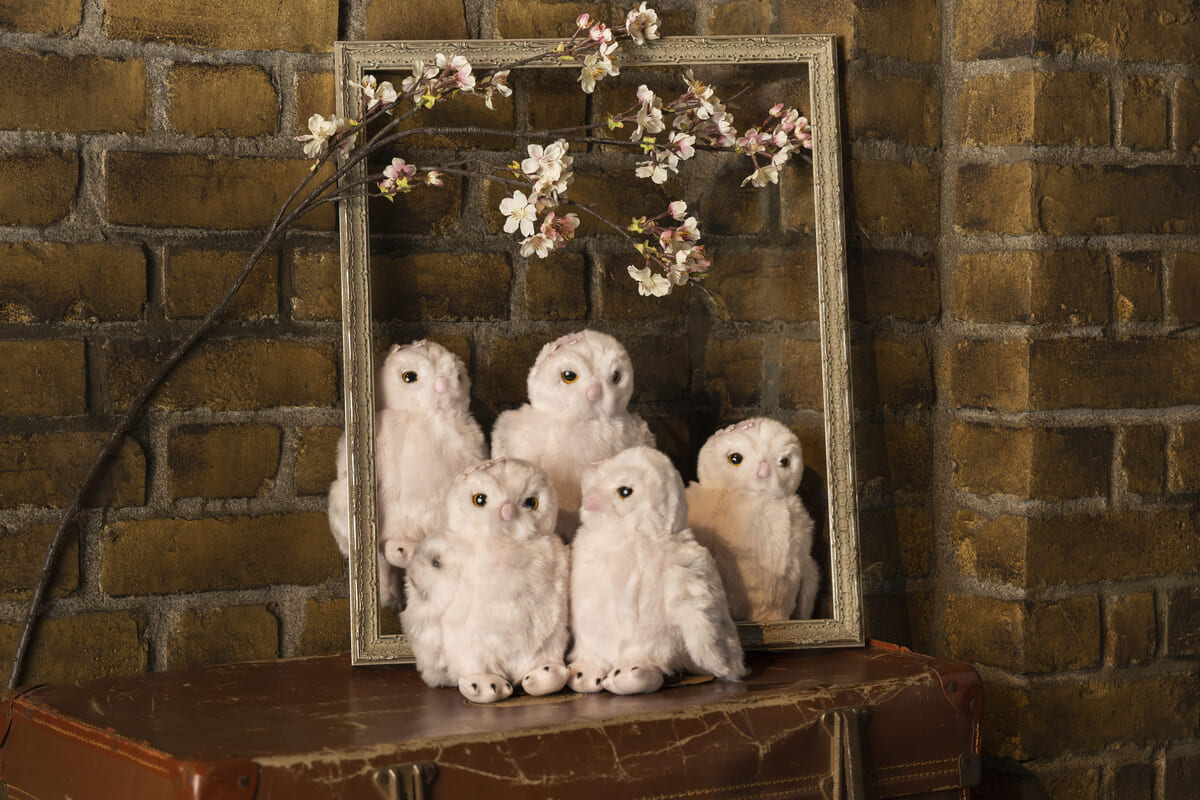 サクラ シロフクロウ ぬいぐるみ