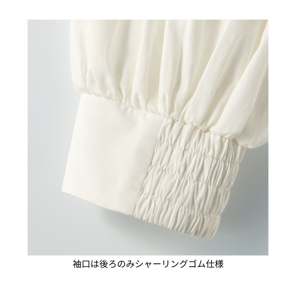 ボリューム袖の刺繍ワンピース 袖デザイン