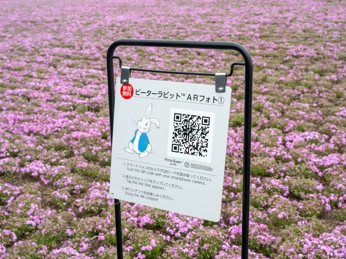 富士芝桜まつり×ピーターラビット™　ARフォト