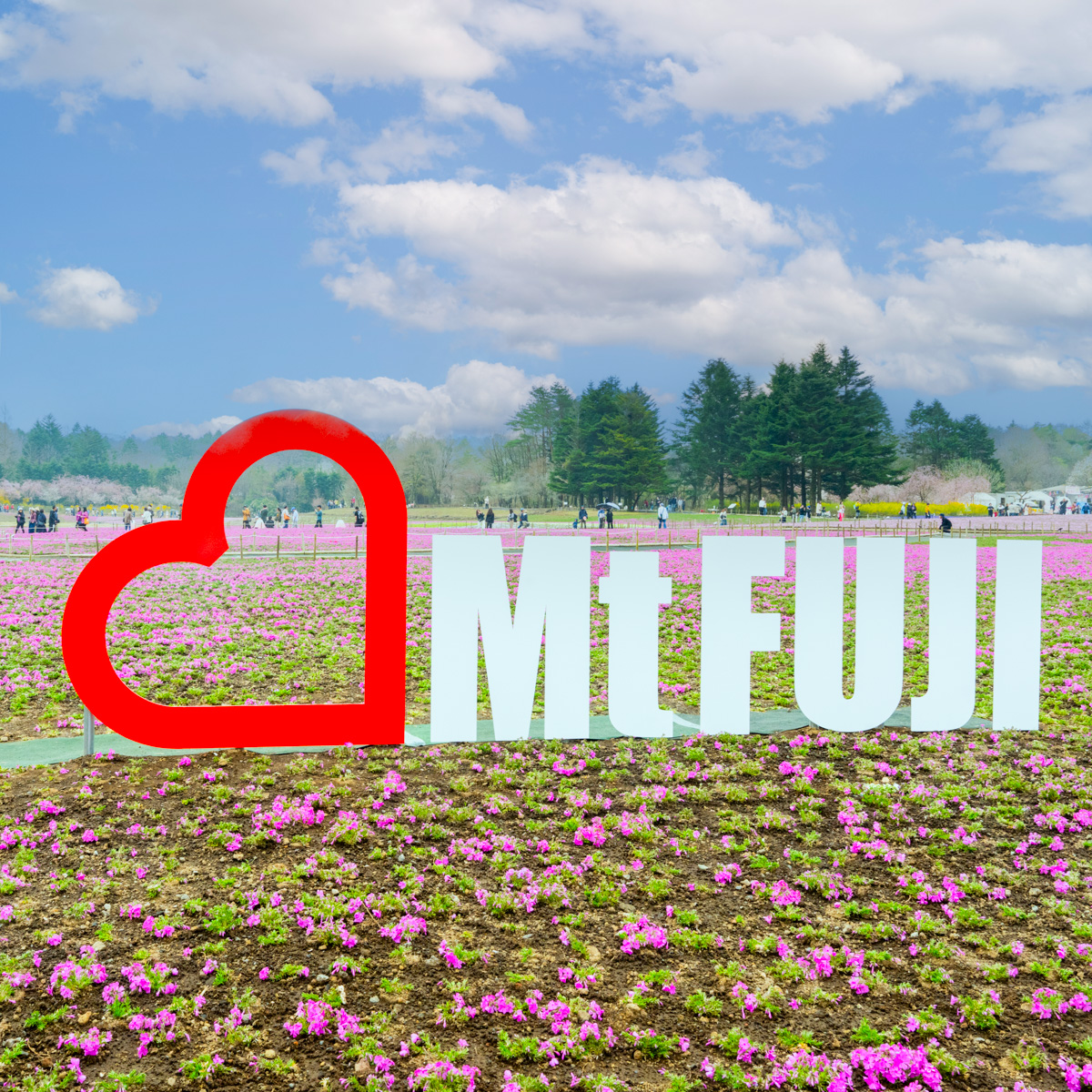 Mt.FUJI オブジェ