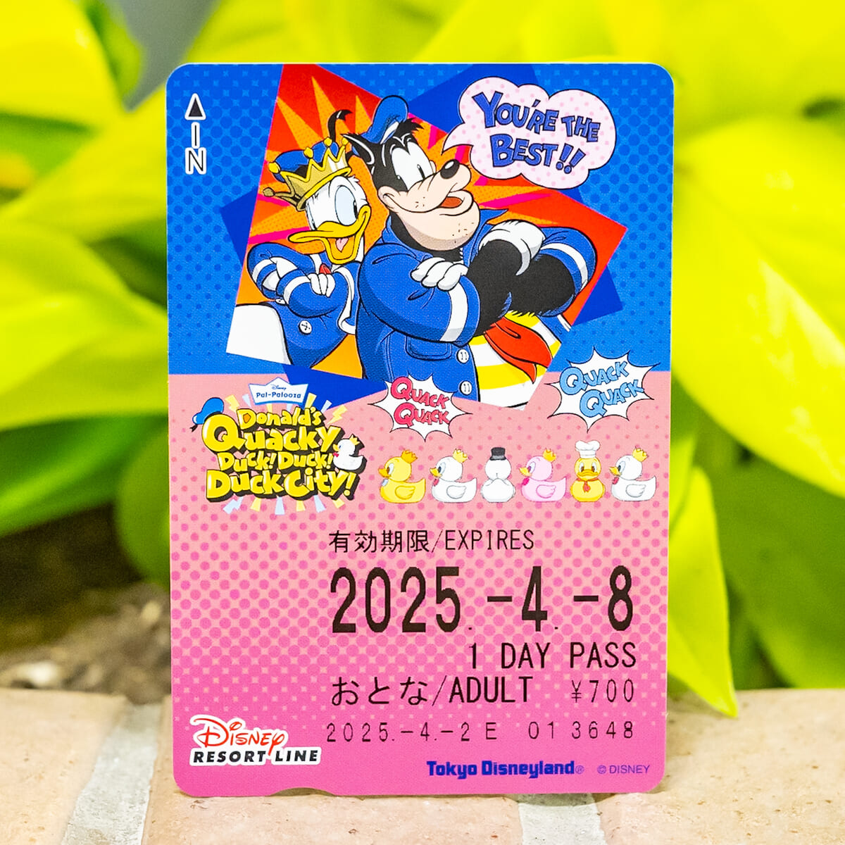 ディズニーリゾートライン「ディズニー・パルパルーザ“ドナルドのクワッキー・ダック!ダック!ダックシティ!”」フリーきっぷ3