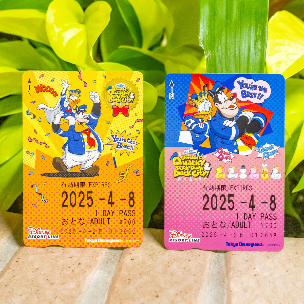 ディズニーリゾートライン「ディズニー・パルパルーザ“ドナルドのクワッキー・ダック!ダック!ダックシティ!”」フリーきっぷ
