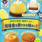 ファミリーマート×JA全農かながわ×テレビ神奈川『かながわ味わいフェア』