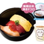 湧きドコロごはんのお寿司茶漬け