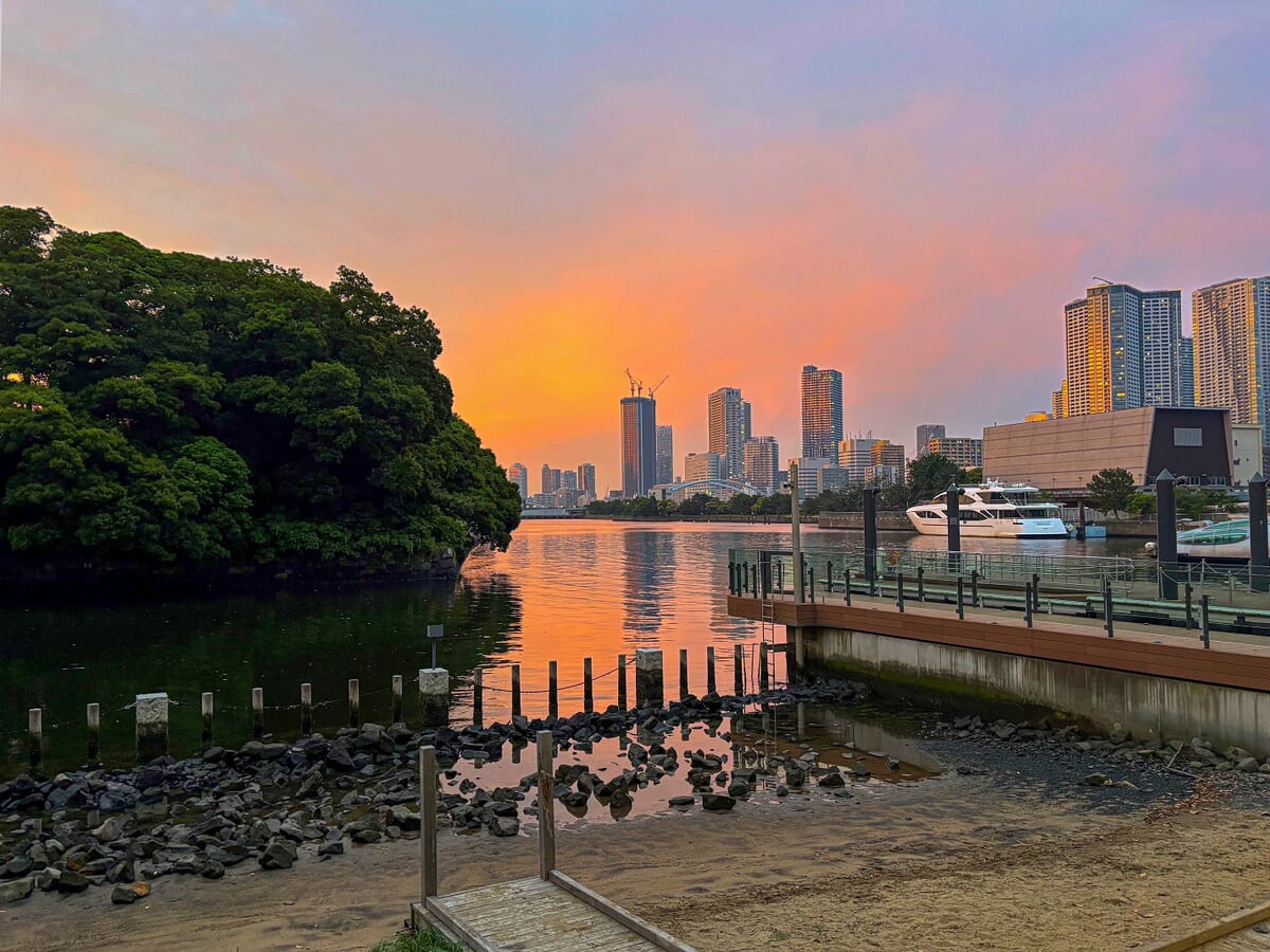 五感でふれる“東京の海の今” 干潟と食を学ぶ、サマーナイト自由研究