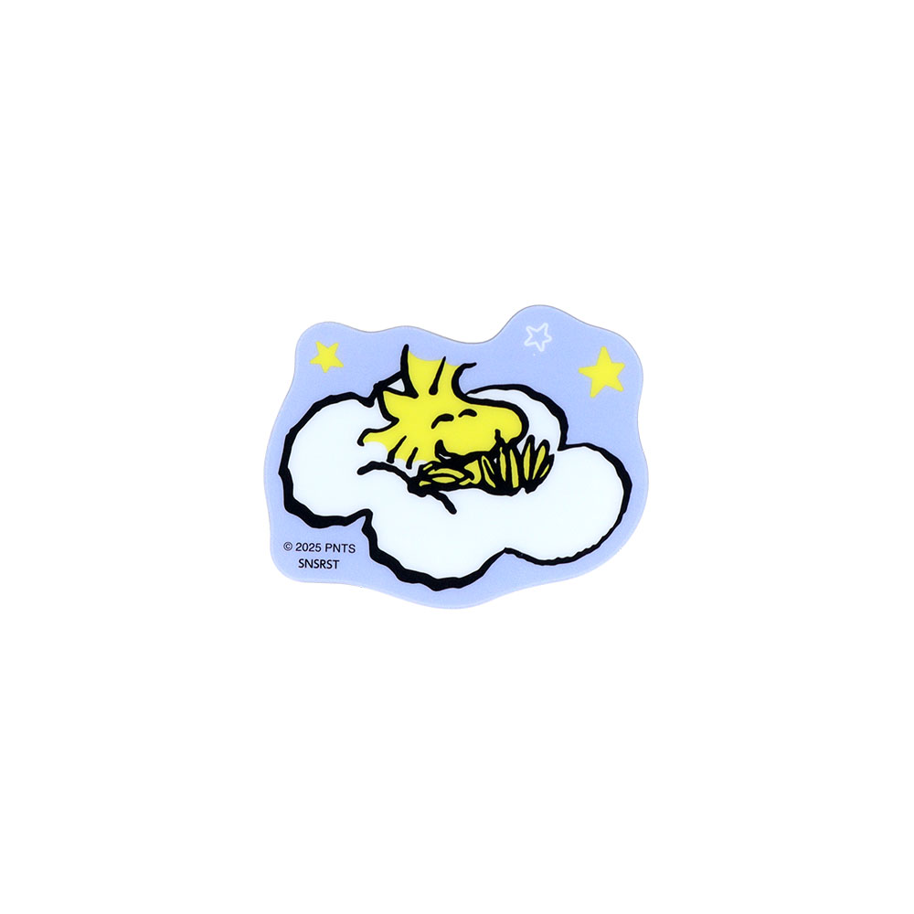 ダイカットアクリルマグネット05