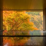 ぬる湯_祖谷温泉_展望風呂〔女湯〕