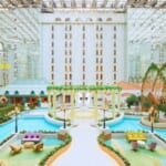 グランドニッコー東京ベイ 舞浜 開業5周年記念「サマーフェスティバル」
