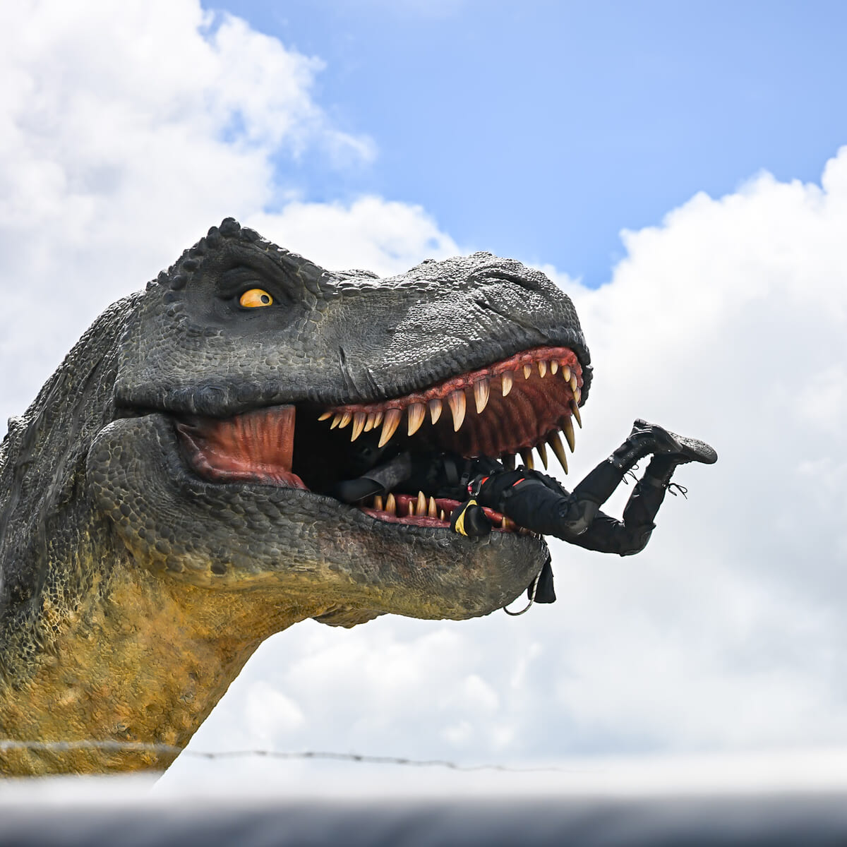 DINOSAUR SAFARI（ダイナソー サファリ）3 