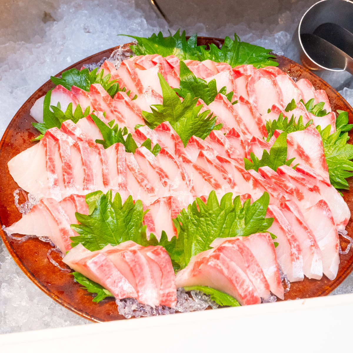 お造り　琉球スギ