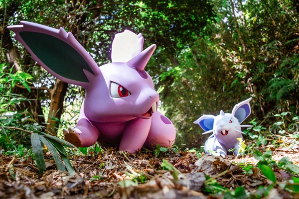 ポケモンフォレスト3