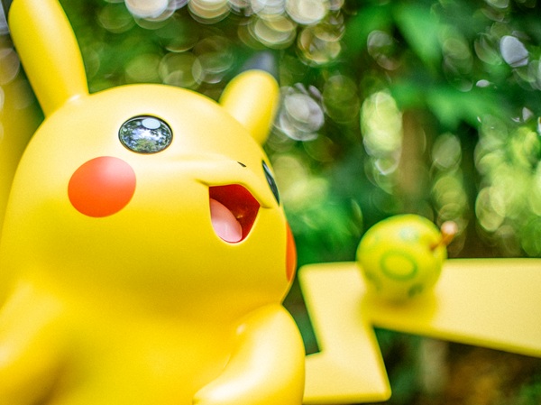 ポケモンフォレスト1