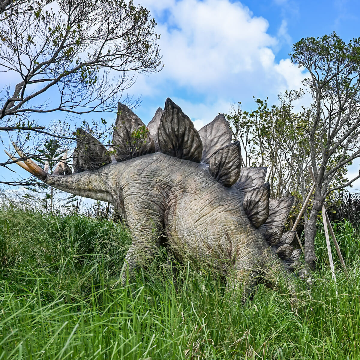 ステゴサウルス